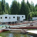 two white trailers behind 6 or more exterior hatchery ponds