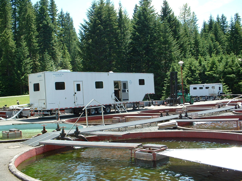 two white trailers behind 6 or more exterior hatchery ponds