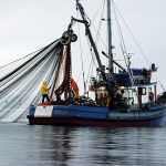 block seine fishing WDFW-online