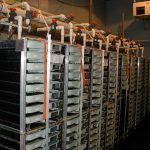 Row of egg incubation racks