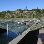 shade over hatchery fish raceway