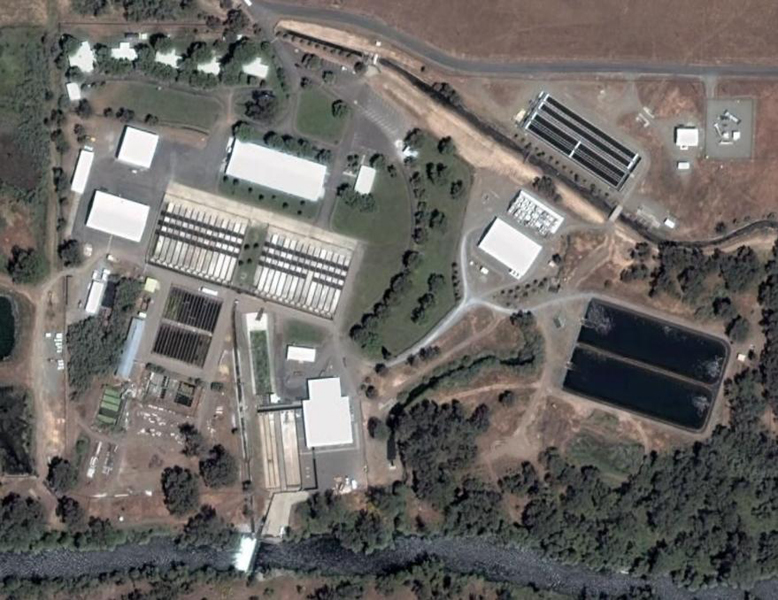 picture of hatchery complex