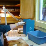 Person holding part of fish head near table top metal detector