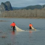 Two people in shallow river area dragging beach seine to capture fish
