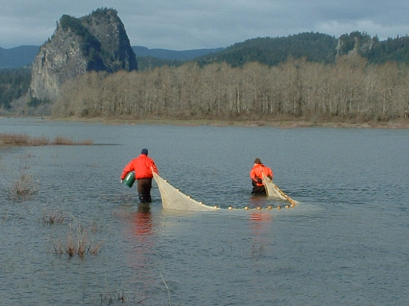 Two people in shallow river area dragging beach seine to capture fish