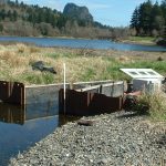 Fish trap in stream between two stream banks