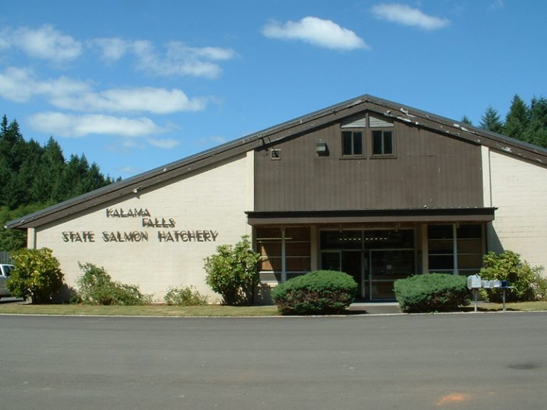 picture of hatchery complex