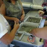 fish being taken from a holding net inside the tagging trailer