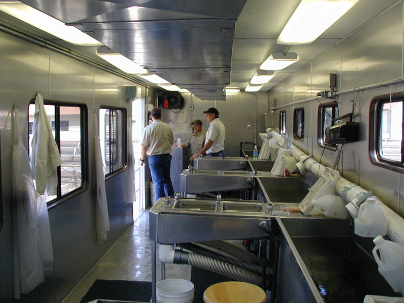 interior of trailer showing stainless steel fish holding areas