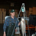 Person next to large fish being weighed on hanging scale