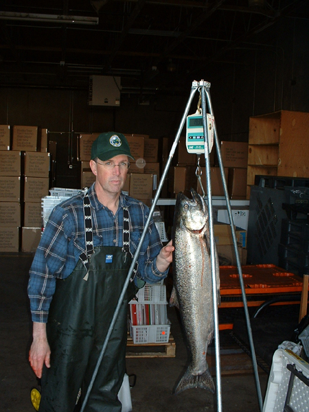 Person next to large fish being weighed on hanging scale