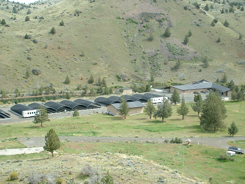 picture of hatchery complex