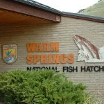 picture of hatchery entry