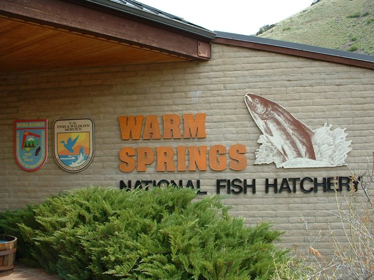 picture of hatchery entry